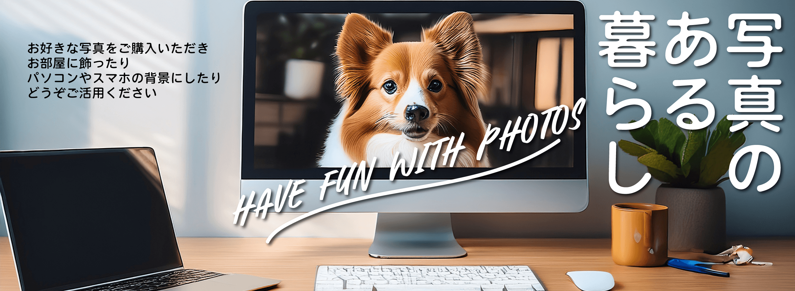 写真のある暮らし